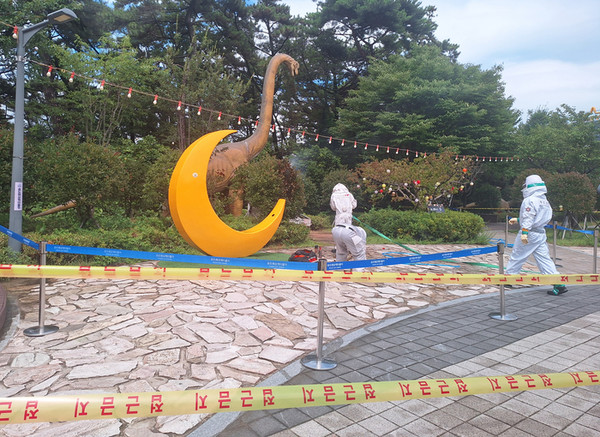 15 du khách bị ong vò vẽ đốt khi tham quan cáp treo tại Songdo, Busan 케이블카 타러 갔다 말벌 떼 ‘날벼락…부산 송도서 관광객 15명 쏘여.jpg